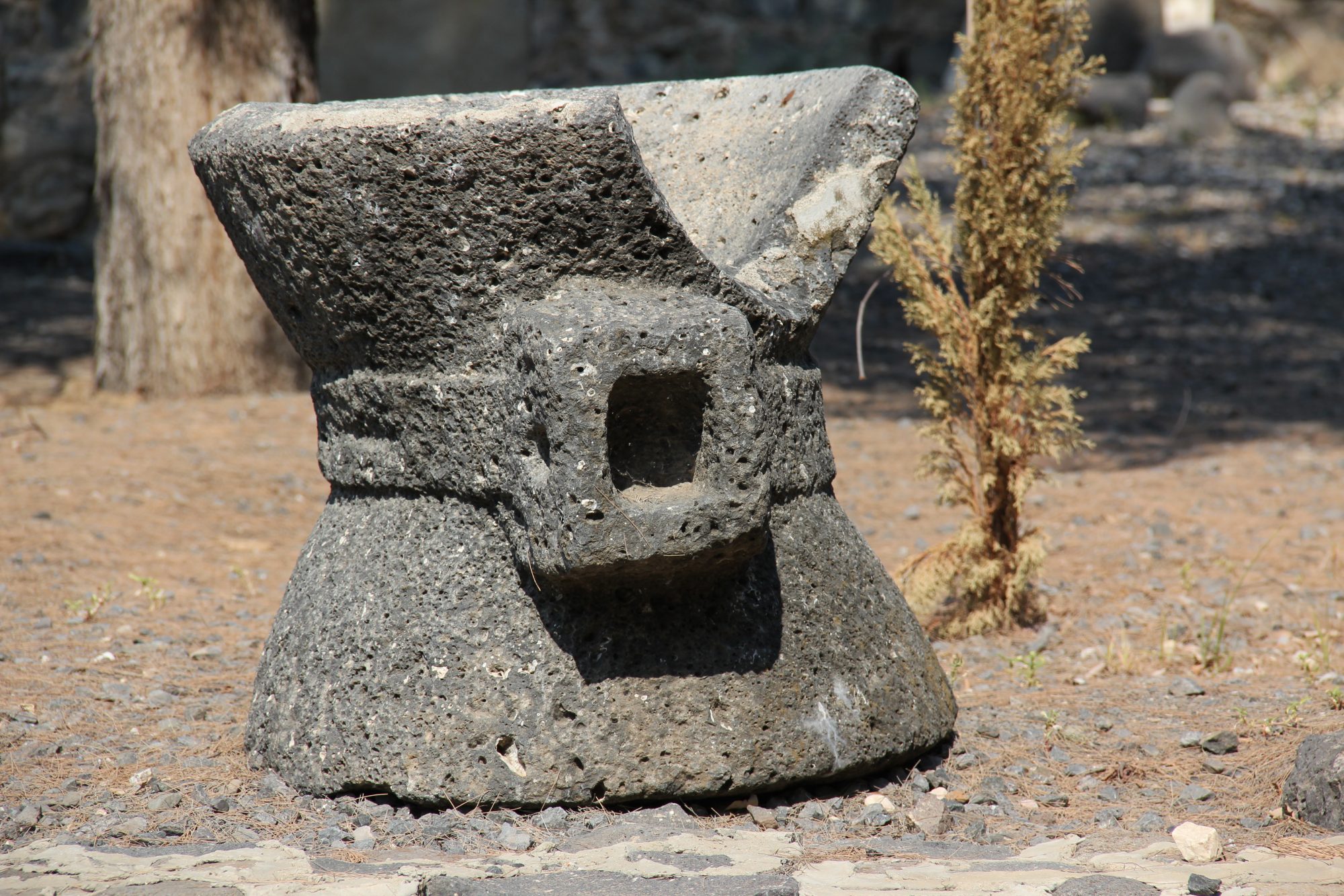 Capharnaum 8